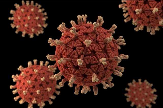 2019 Novel Coronavirus (COVID-19): Common Virus or Deadly New Infection?